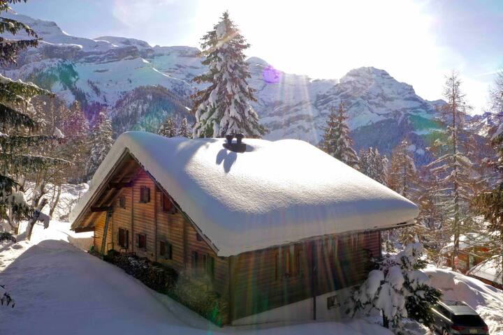 Les Diablerets – Chalet en lisière de forêt gallery image 4