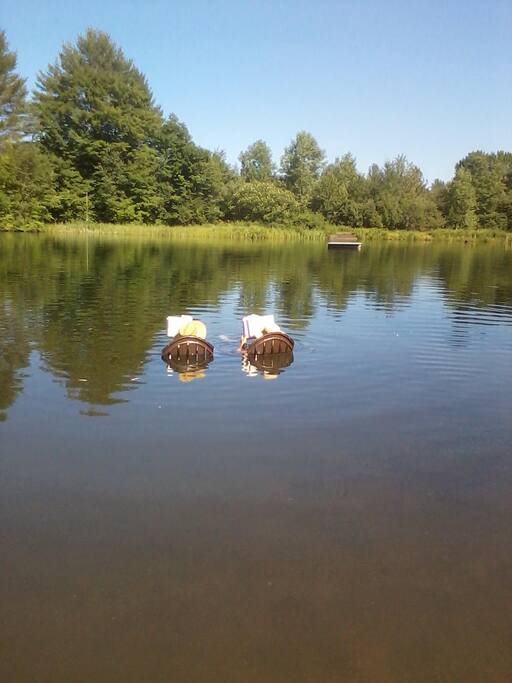 Cooling off on a hot summer's day!