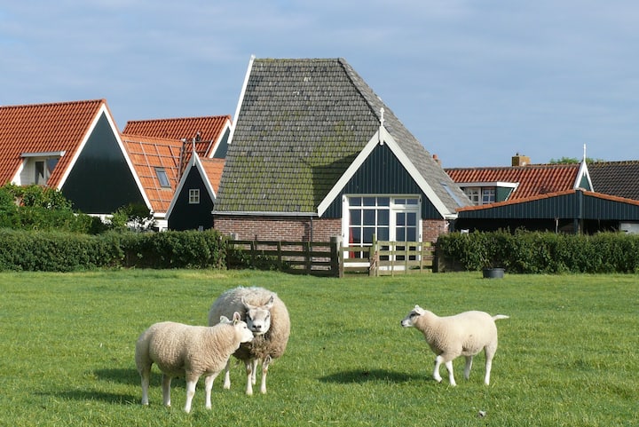 Guesthouse in a converted sheep barn in Den Hoorn