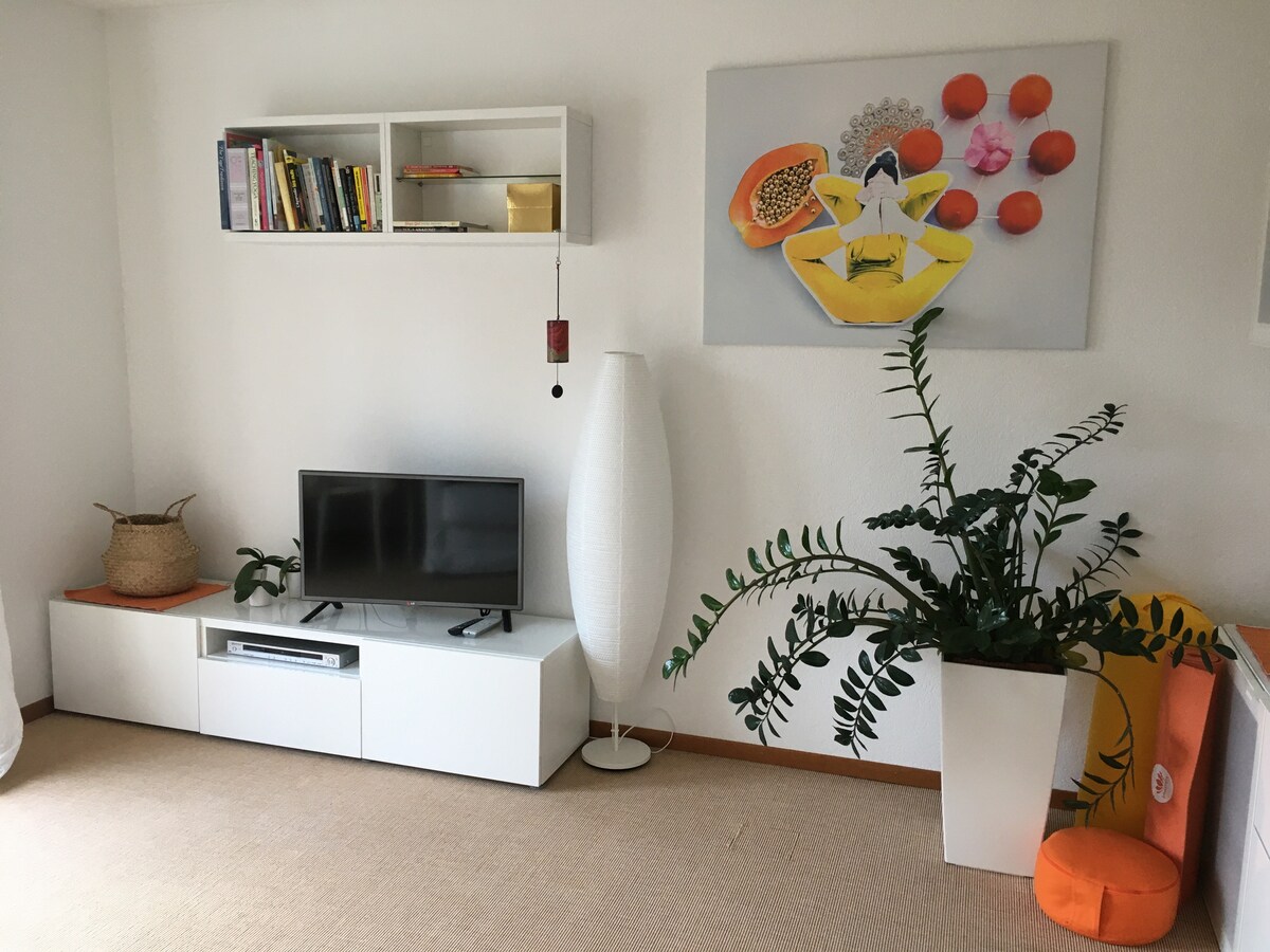 A cozy corner of the studio features a wall-mounted shelf with books and decorative items. A modern television is placed on a sleek media console beneath a tall, slender lamp. Lush green plants and an orange floor cushion add a touch of color to the light-filled space.