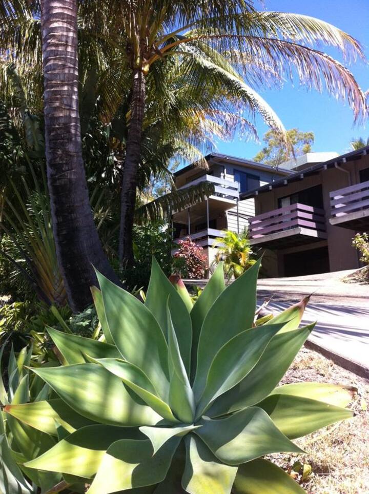 7 Best PetFriendly Airbnbs In Airlie Beach, Australia Updated 2024