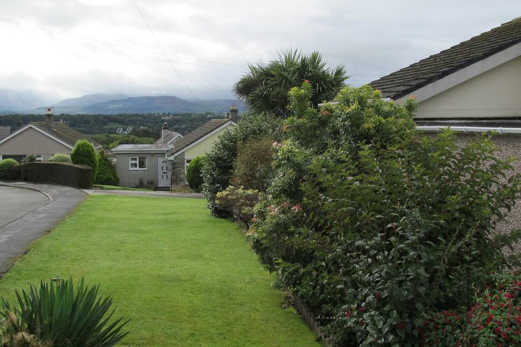 Garden to the side of the house.