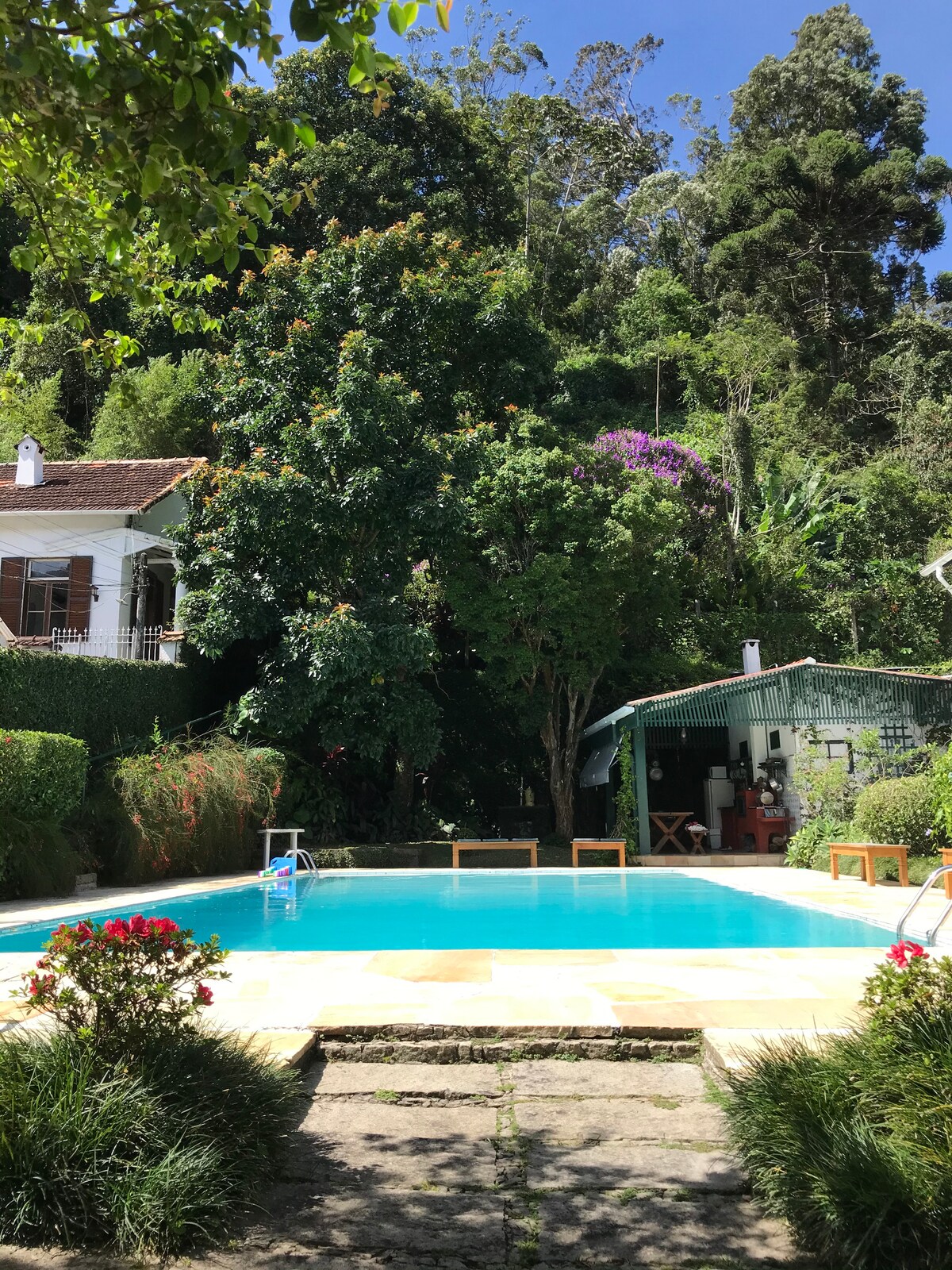 A serene swimming pool is seen, surrounded by lush greenery and colorful flowers. Tall trees provide shade, while a small patio area with wooden lounge chairs sits adjacent to the pool. A charming structure is visible in the background, contributing to the tranquil ambiance.