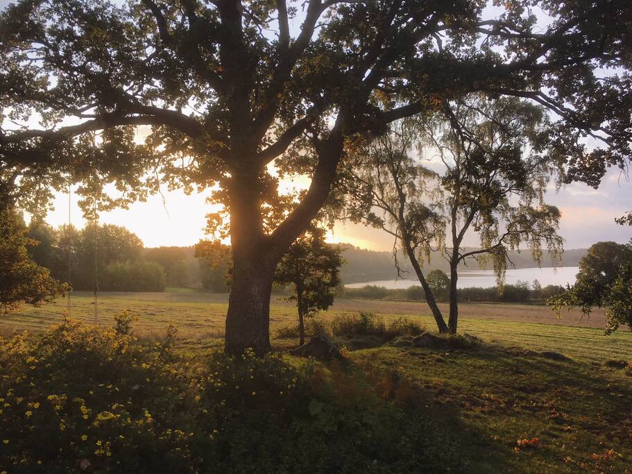 Utsikt från veranda