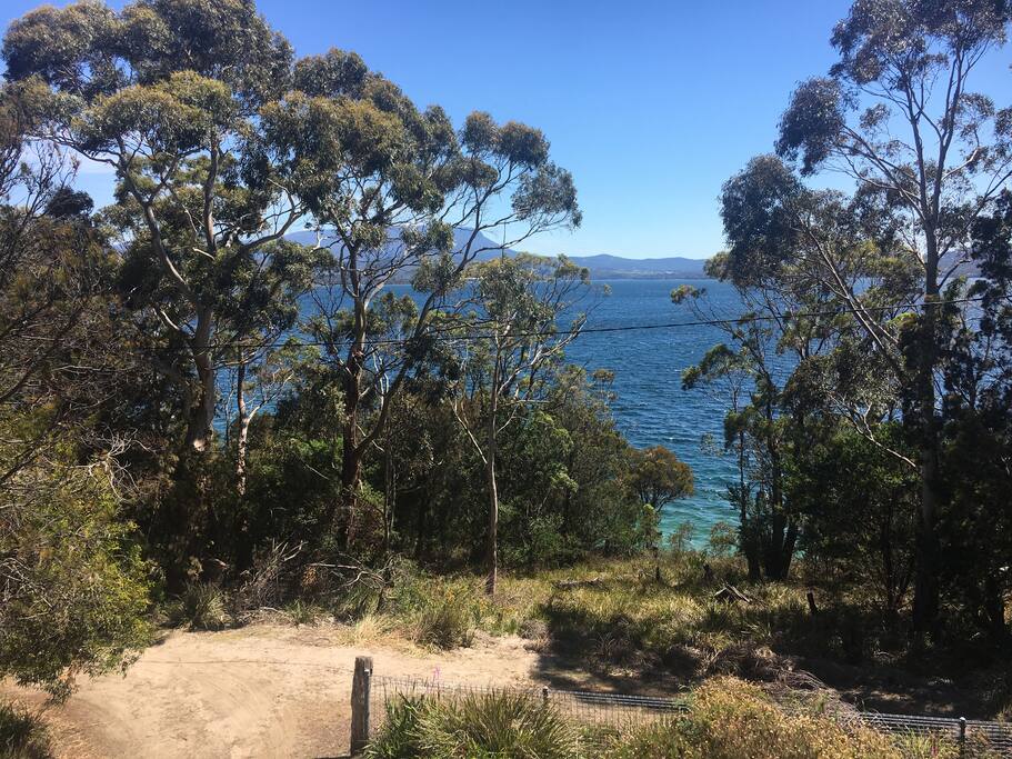 View from deck