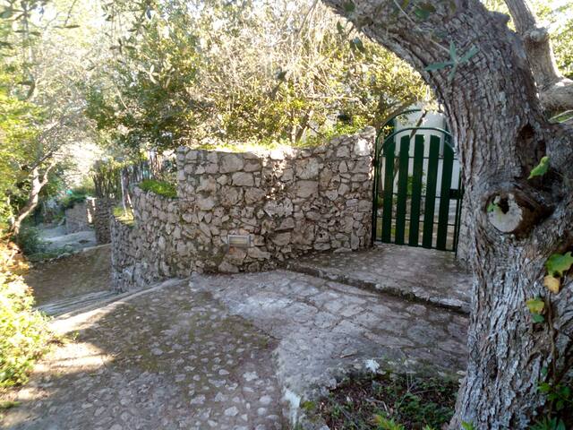 Castro Salento Villa in villaggio esclusivo gallery image 5