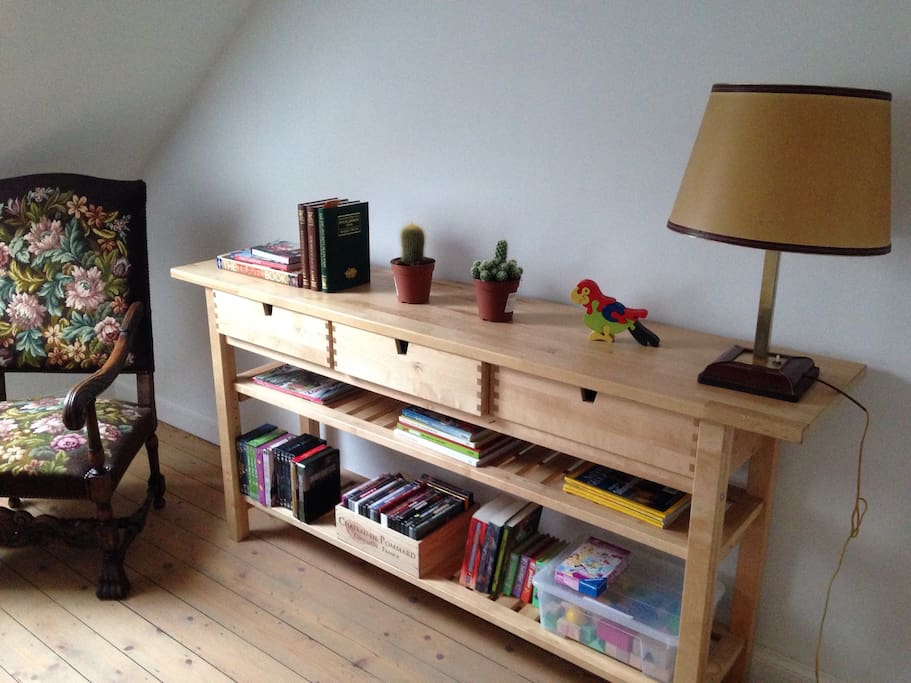 Cupboard filled with dvd's, books, toys and maps of Antwerp