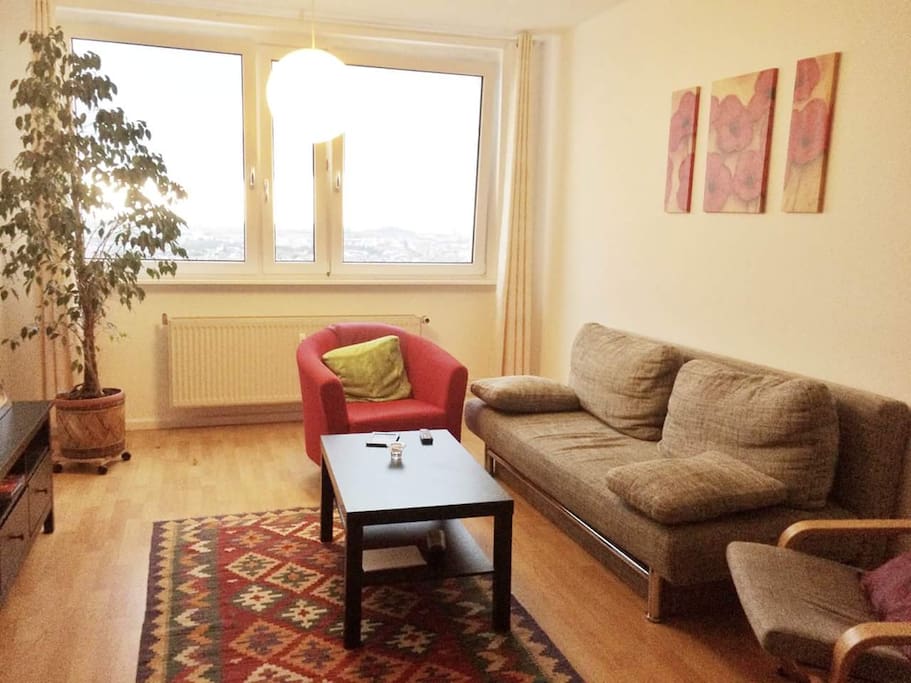 Living Room (Shared)