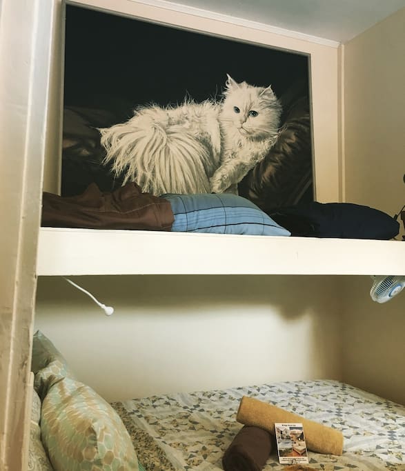 Room 4 has our Sexy Cat art piece. This painting inspired the Sexy Cat song and hopefully will inspire your creativity.