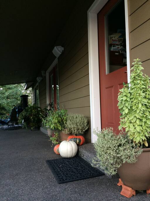 Our back kitchen door is where we welcome all our guests.