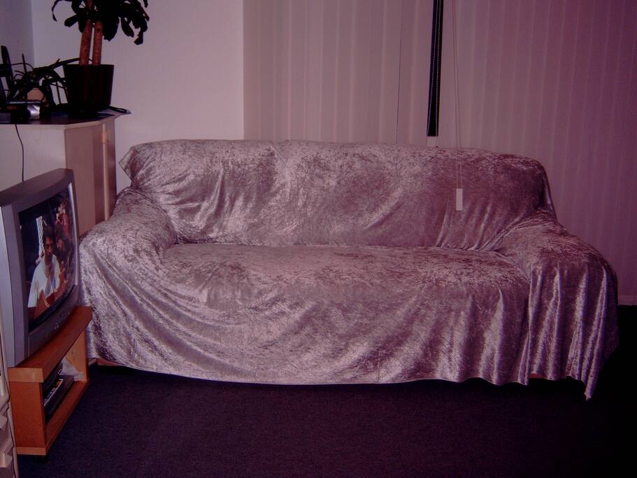 Living room with an opening (sleeping) sofa