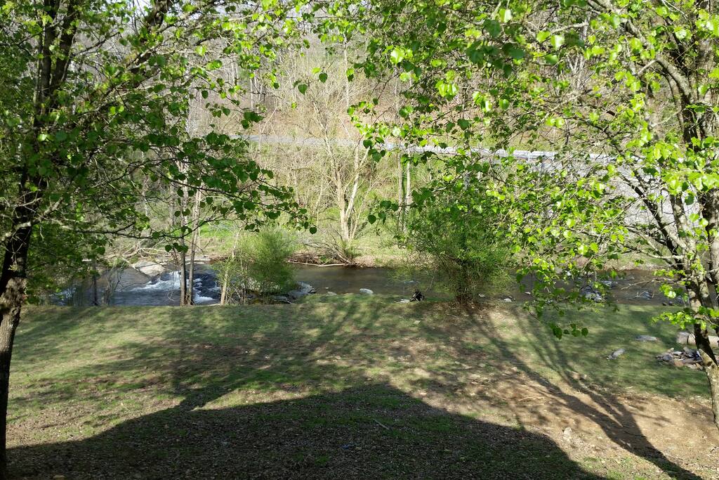 View of our creek!
