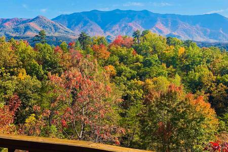 "Just the Two of Us" Cabin with Spectacular View