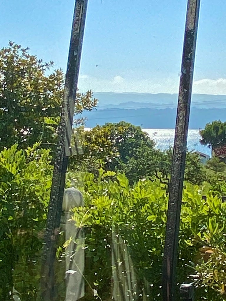 A serene view of the sea is framed by lush greenery, showcasing a blend of vibrant foliage and distant mountains. The sunlight reflects off the water, creating a shimmering effect in the background.