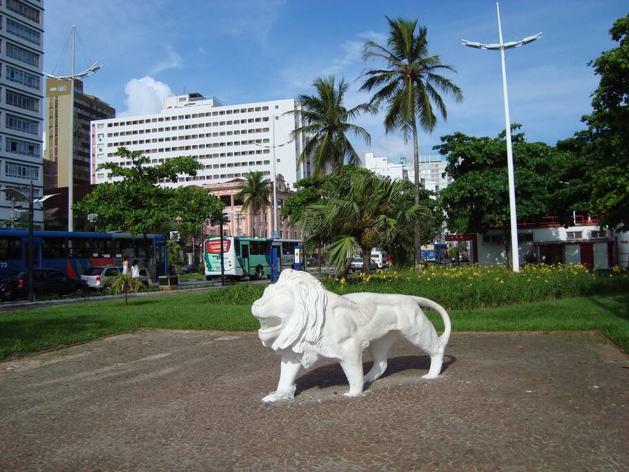 Os mais lindos jardins