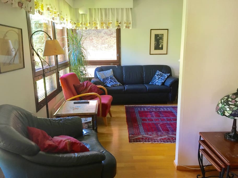 TV room and library
