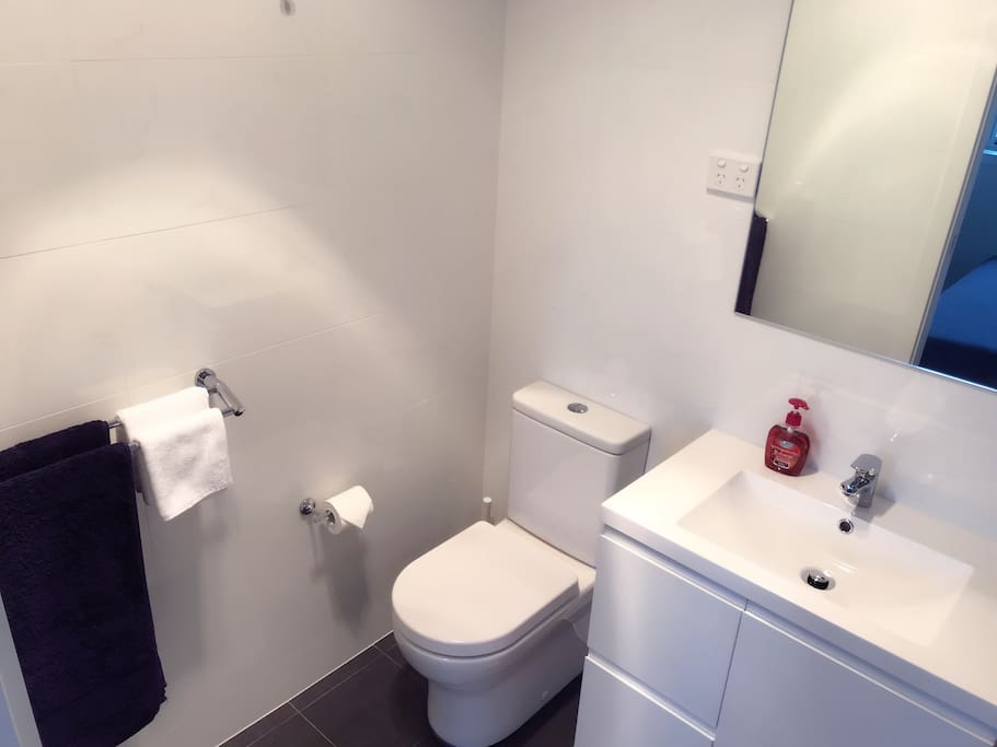 Master bathroom 1