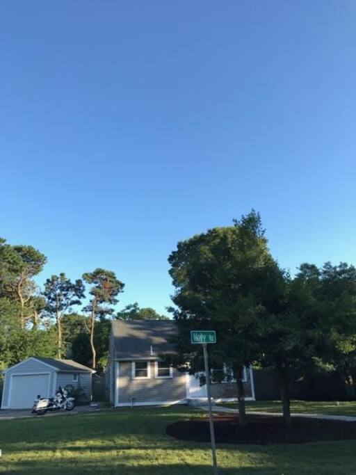 Front yard