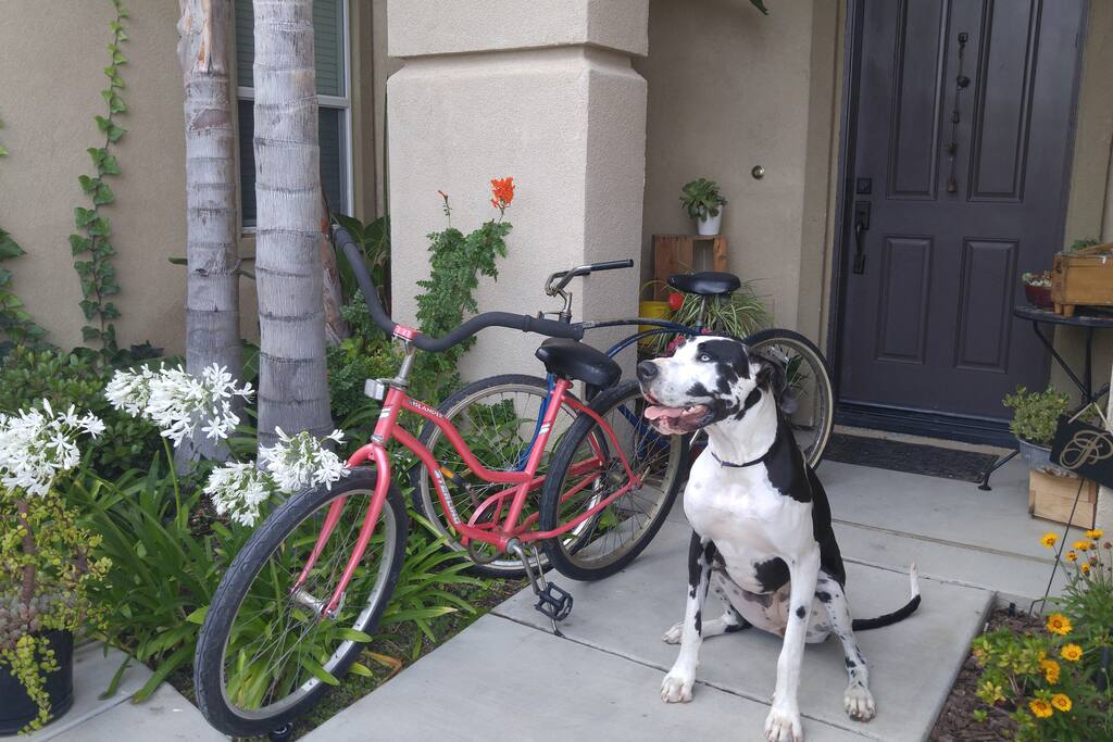 Two adult cruisers with bike lock and a picture of our baby girl. Bike to the beach it's 3.4 miles away.