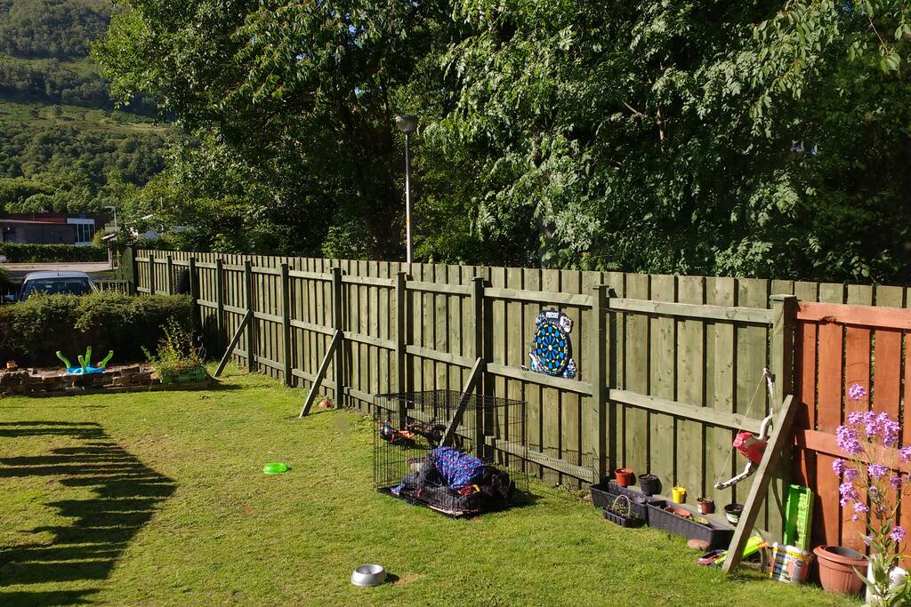 Back Garden