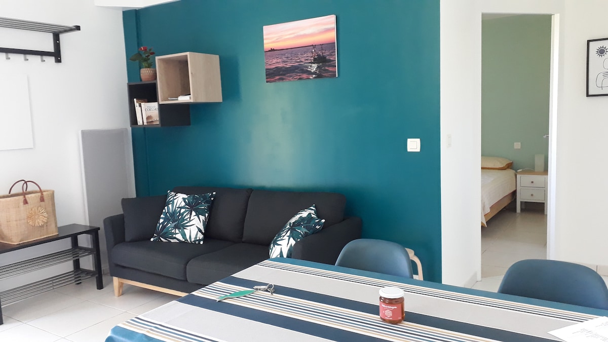Airbnb performant: Ocean & Mountain: a vacation rental for all seasons à Ciboure