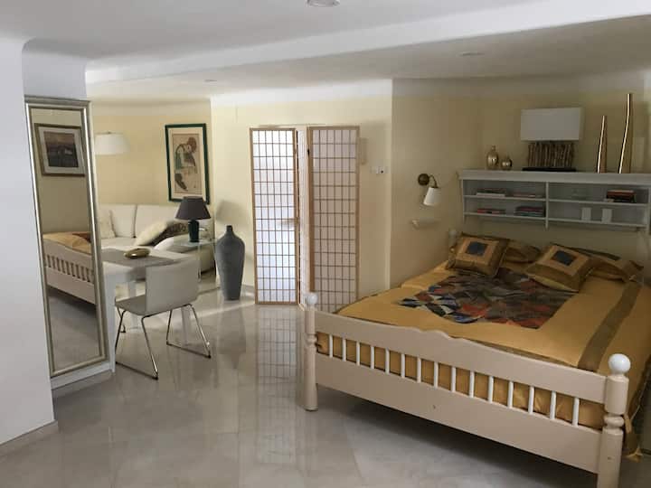 Exclusive 58 Sqm Luxury Studio Apartment - Salzburg