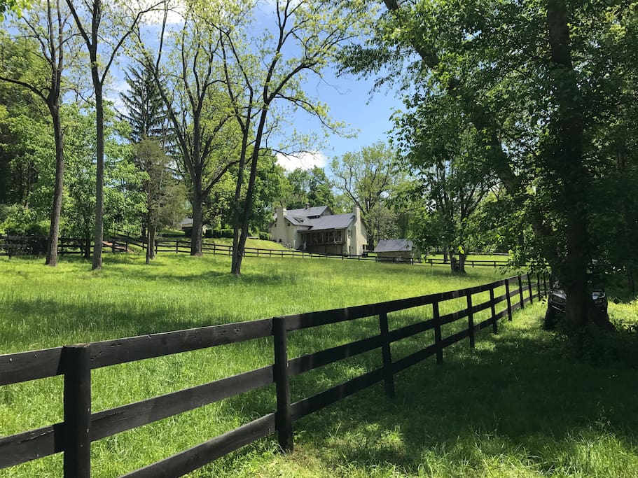 back of the house.. sits on 22 acres and Goose Creek
