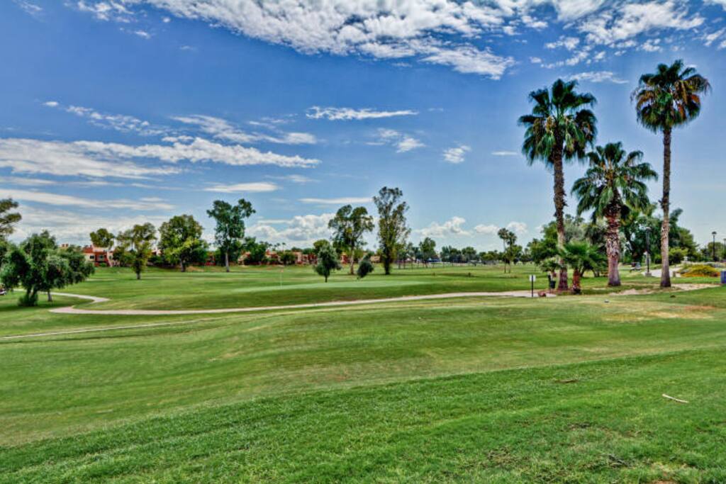 Lush fairway