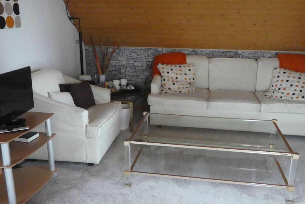 Attic Suite Houses for Rent in Tannay, Vaud, Switzerland