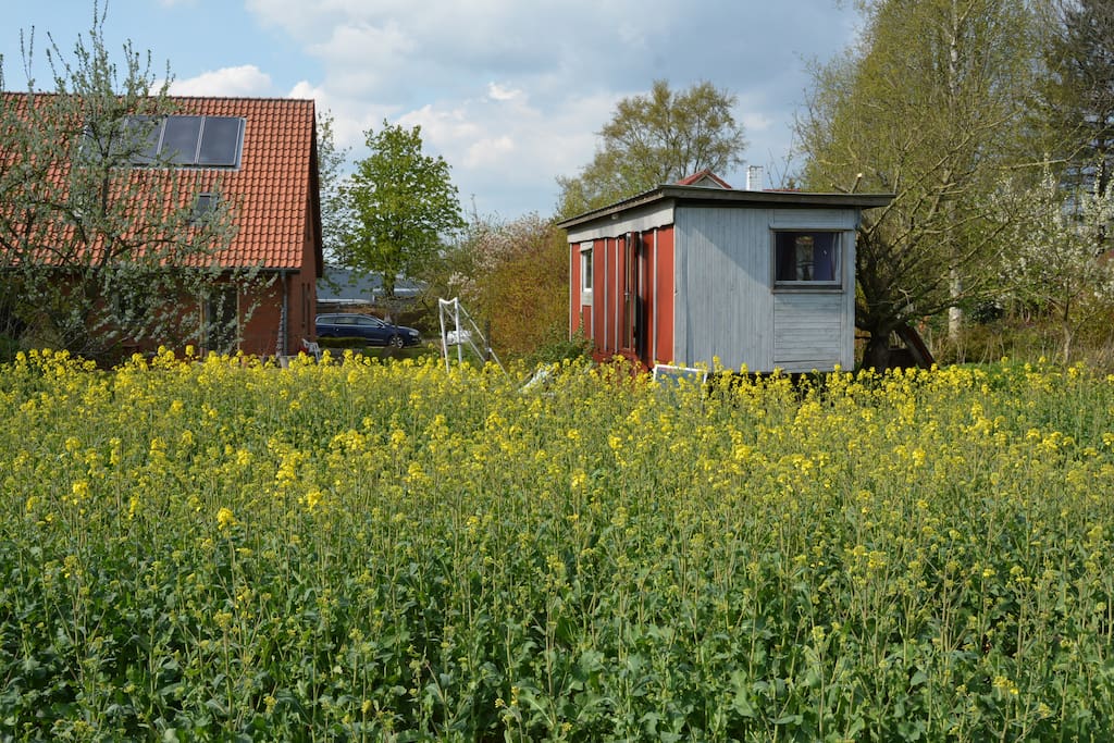Blick auf den Bauwagen und die Ferienwohnung