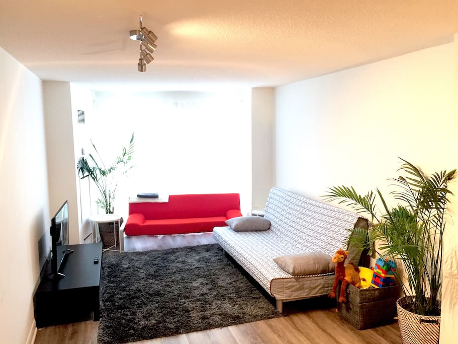 Two sofa-beds: 1 Queen, 1 Single