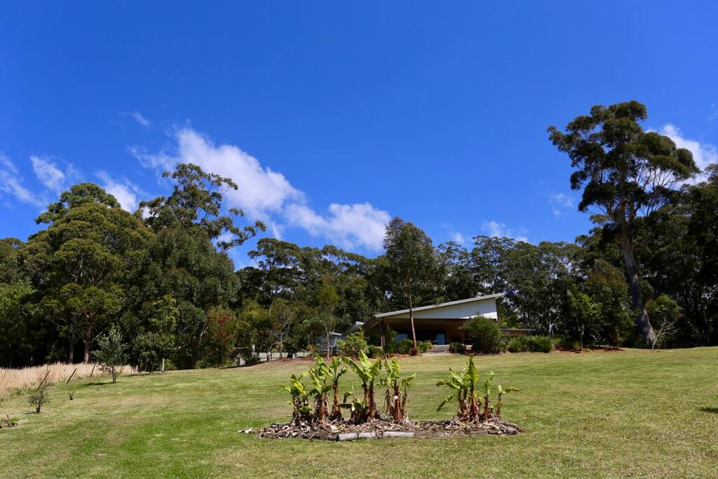 Three acres of serenity