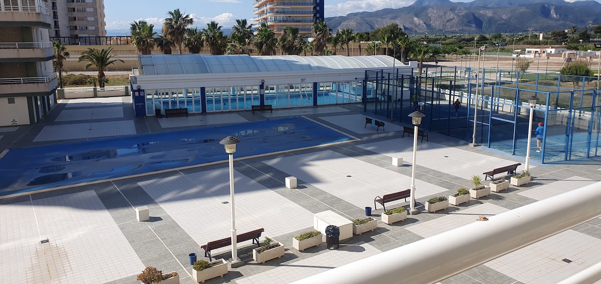The outdoor area features a large swimming pool along with a separate padel court. Sun loungers and benches are arranged along the poolside, surrounded by palm trees, providing a spacious and inviting atmosphere. The backdrop includes distant mountains and modern buildings.