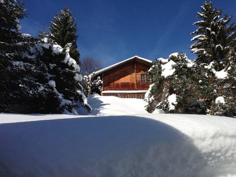 Cosy traditional Swiss Chalet near by Gstaad