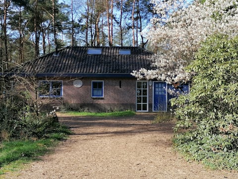 Popular Airbnb listing: Lovely house near woods and heath in Otterlo in Otterlo