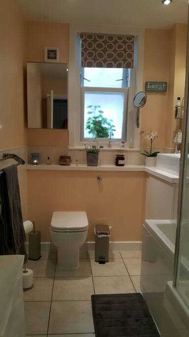 bathroom and shower