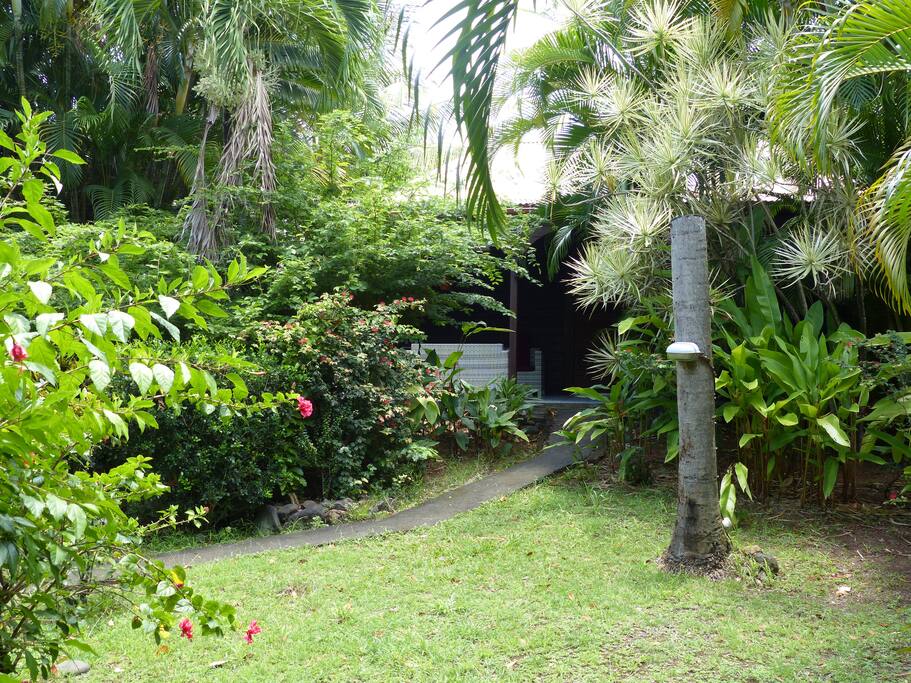 jardin