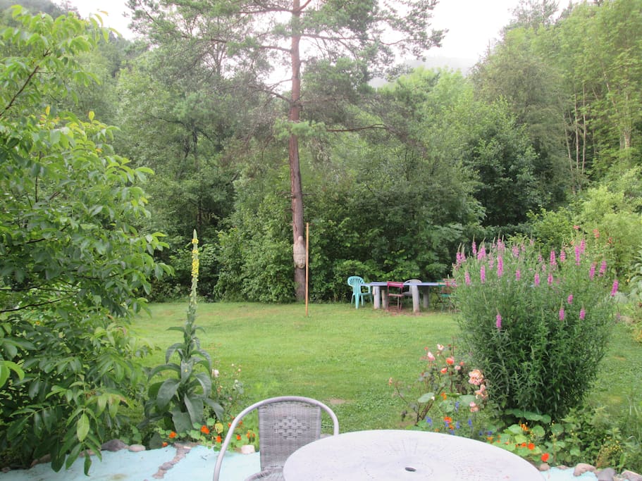 the garden in summer