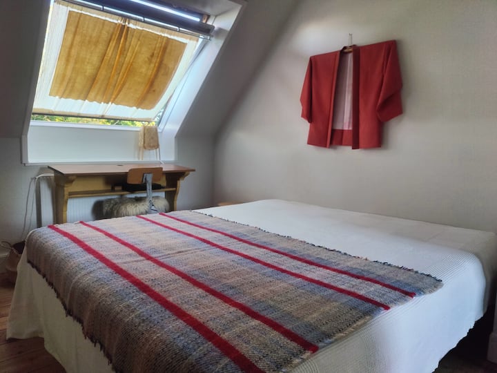 Საძინებელი სამხრეთით/აღმოსავლეთით.