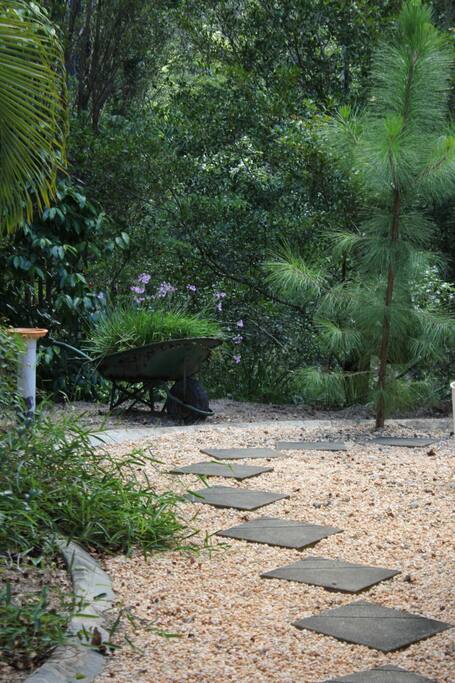 Pathway on the left side of the front of the house to your private wing of the 'Homestead'.
