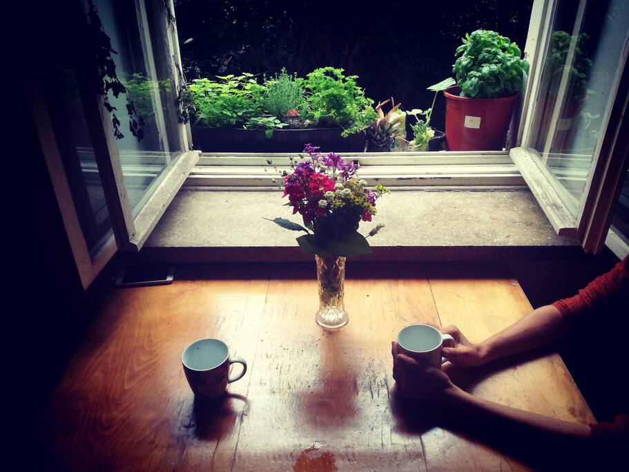 Morning coffees