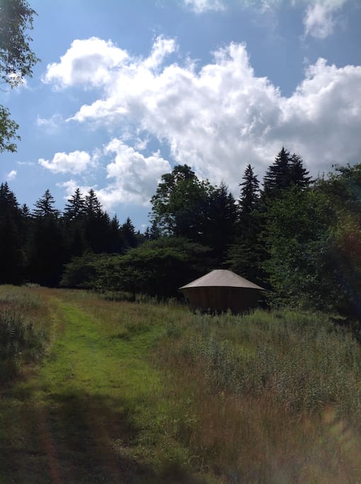 The path up to the yurt.
