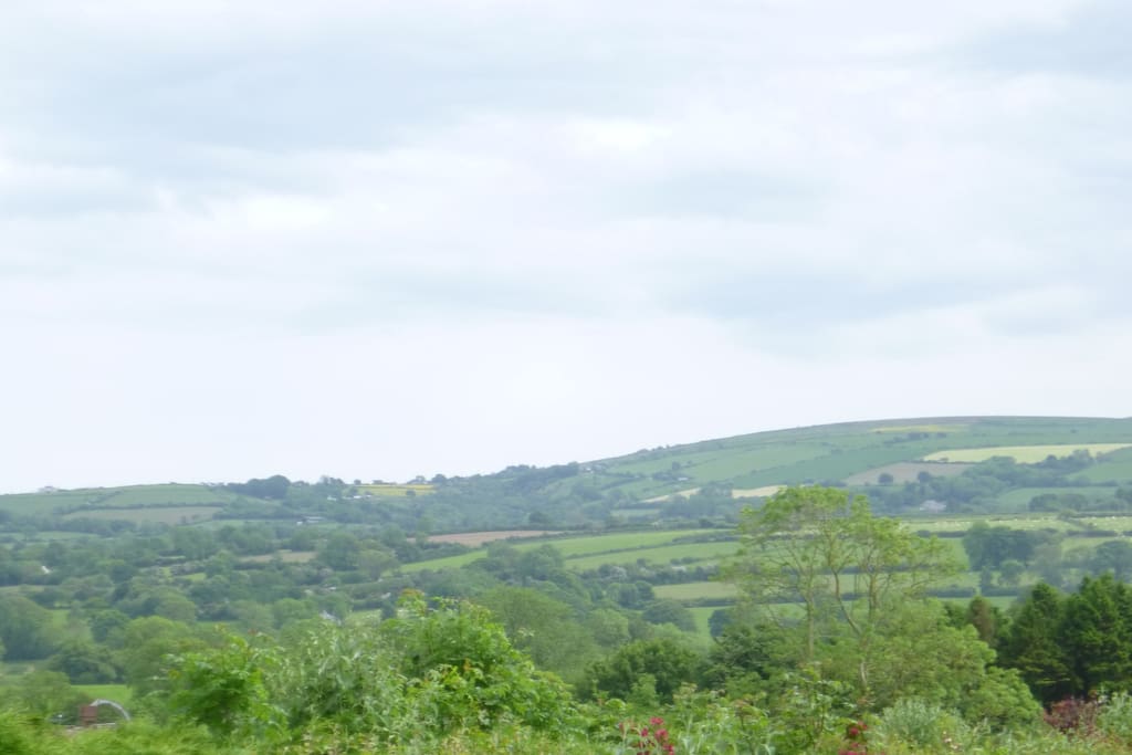 View from Preseli's porch