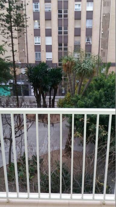 Vistas desde la terraza