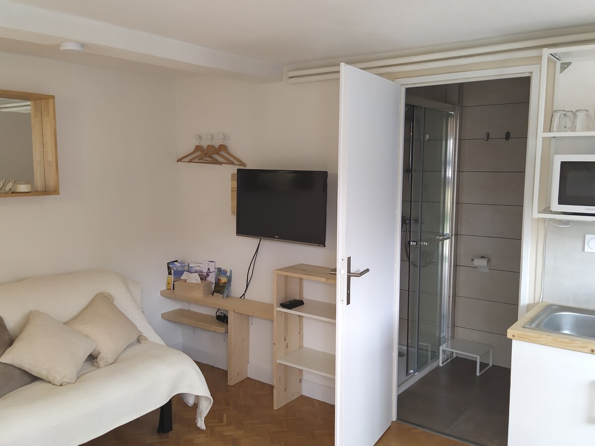 A cozy studio space features a light-colored sofa and a wall-mounted television. A modern shower is visible through a glass door. Shelving units are provided for storage, while the kitchenette offers a microwave and sink for convenience.