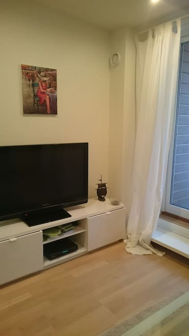 Tv room with private living room and a terrace.