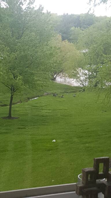 Beautiful Treed, Landscaped Lake View