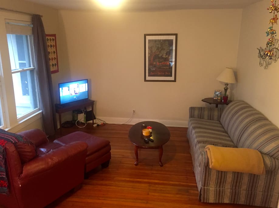 Living Area with pullout sofa