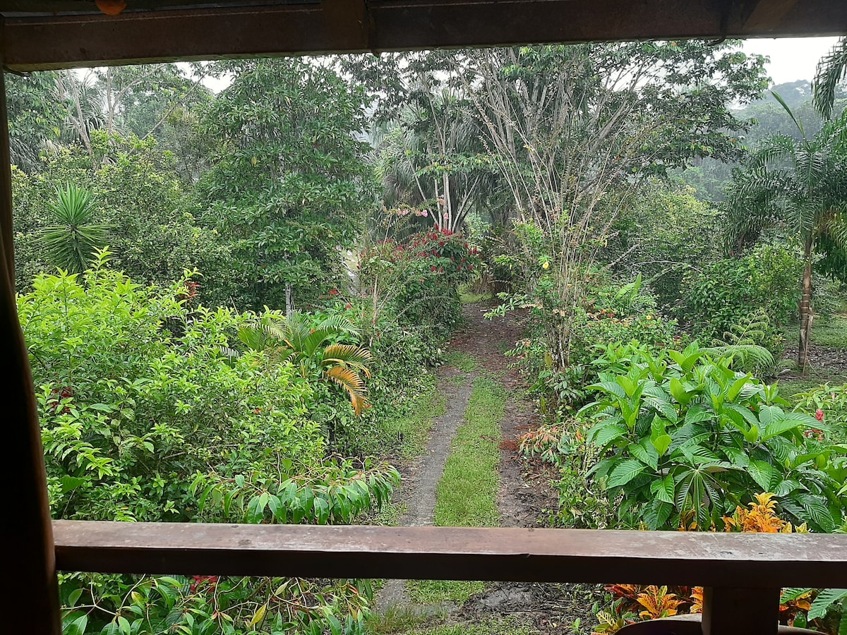 A lush landscape is visible from a wooden structure, showcasing rich greenery and vibrant plants. A narrow path leads through the foliage, inviting exploration of the natural surroundings. The scene is peaceful, surrounded by trees and distant hills, suggesting a serene outdoor experience.