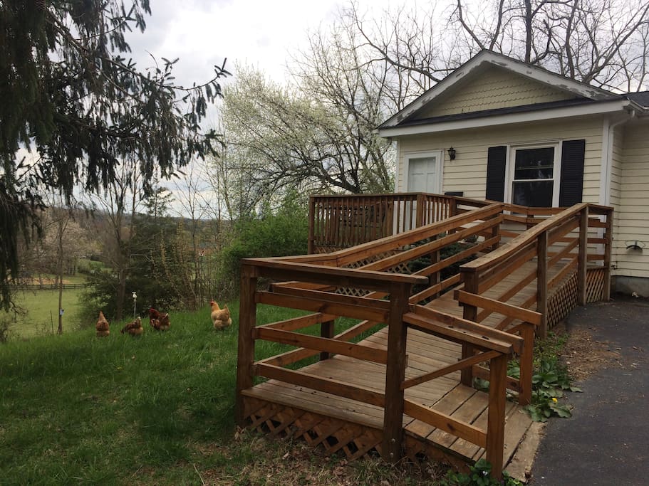Small but quite and peaceful efficiency on 8 acres in Augusta County, VA (five minutes from Staunton and 25 minutes to Harrisonburg).